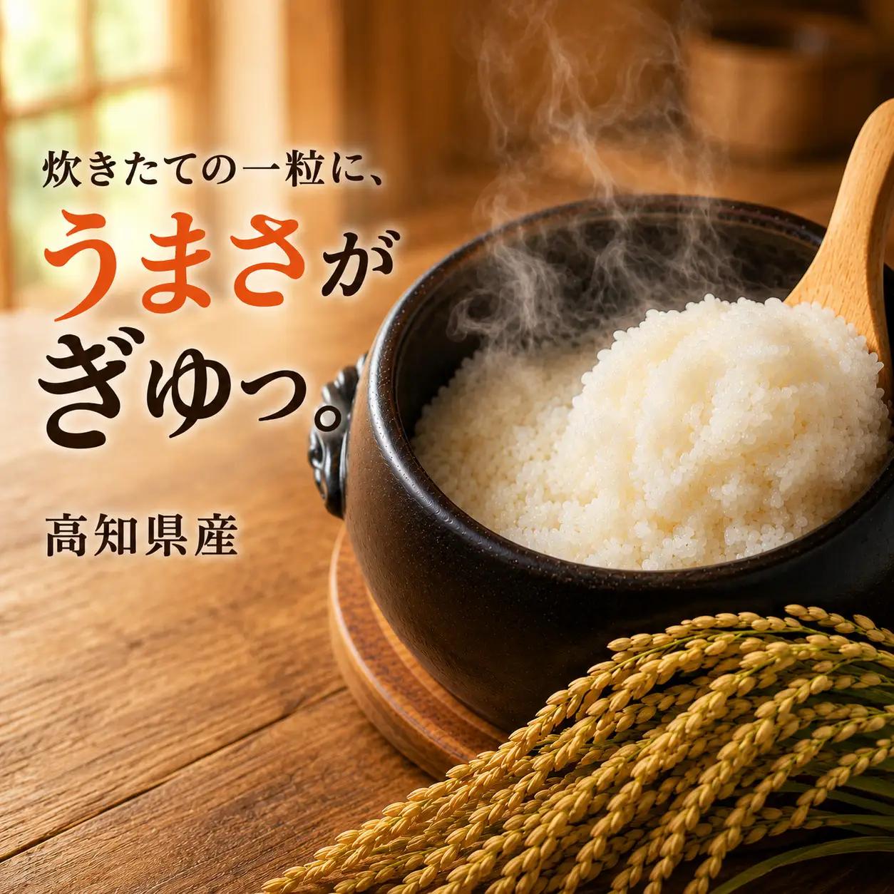 新米【6ヶ月連続定期便】 令和8年度 高知県産 コシヒカリ2㎏ 6回
