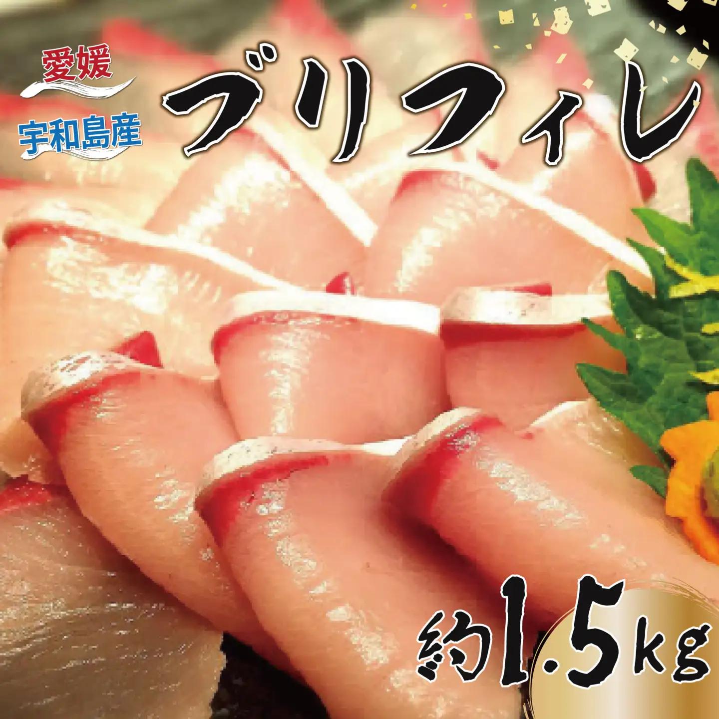 鰤 フィレ 約1.5kg 有限会社 アクアプラス 鰤 D020-090008