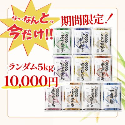 ふるさと納税 境町 【令和7年産/白米】令和8年1月内発送 ランダム5kg 茨城県産 米 |  | 01