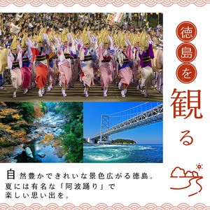 共通宿泊補助券 15,000円分 徳島 宿泊