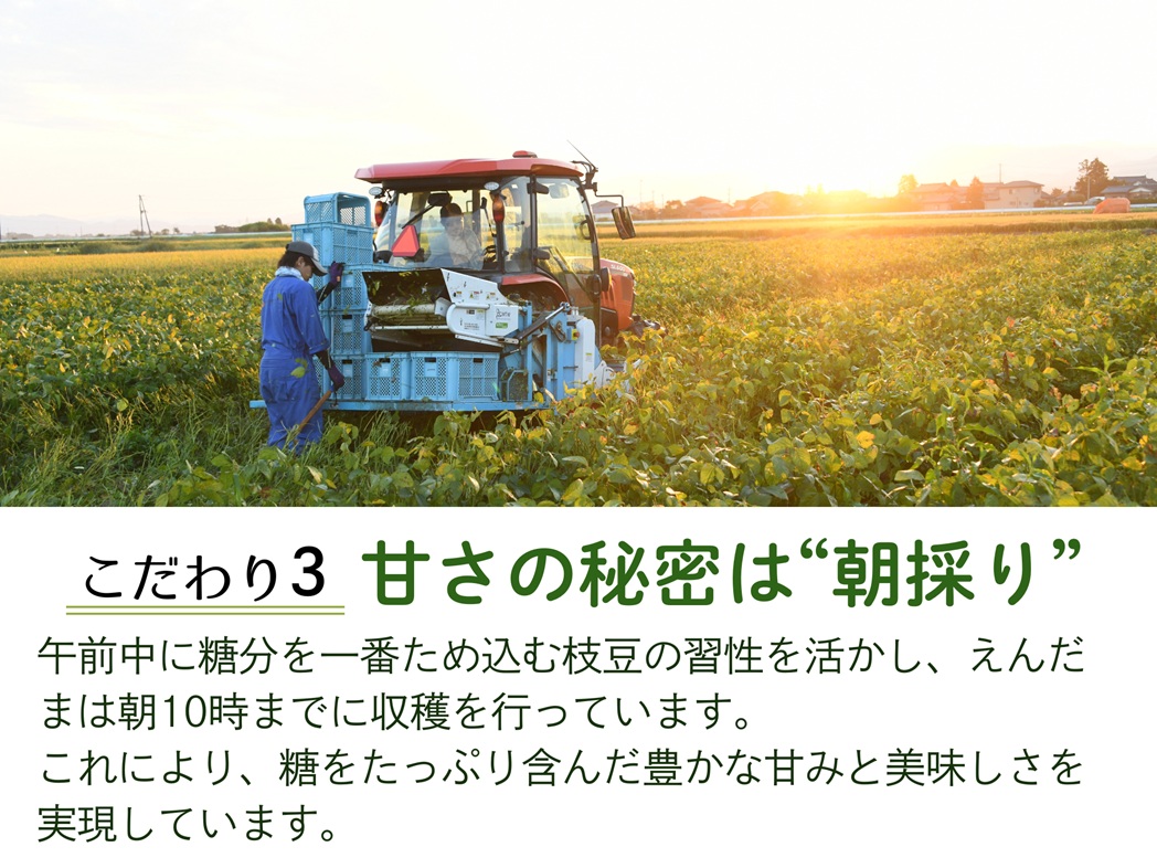 阿賀野市産えだまめ 「えんだま」 2kg 2P03014