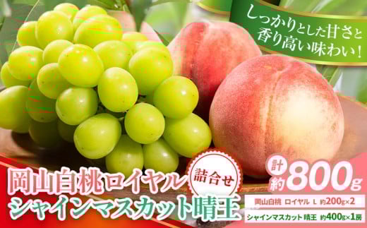 【先行予約】岡山県産 岡山白桃 ロイヤル L~ 3Lサイズ シャインマスカット 計 800g 詰合せ 株式会社 はちや《7月上旬‐8月下旬頃出荷》もも 岡山 国産 フルーツ 果物 岡山県 浅口市 フルーツ モモ 果物【配送不可地域あり】---124_c2048_7a8c_25_23000_800gr---