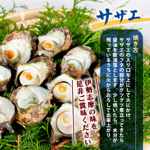 伊勢志摩バーベキューセット / 伊勢 志摩 三重県  国産 海鮮 新鮮 天然 サザエ 貝  焼き物 バーベキュー BBQ グリル セット 産地直送  キャンプ アウトドア 熨斗 ギフト 父の日 ヒオウ