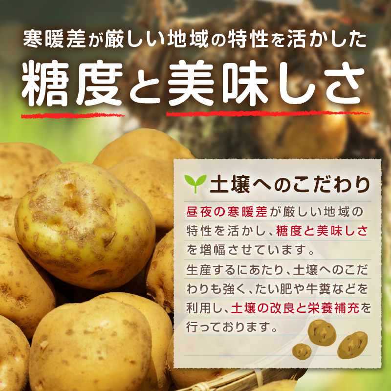 【予約：2026年10月から順次発送】北見市産 たまねぎとじゃがいもセット 約7kg ( 野菜 たまねぎ 玉ねぎ タマネギ 玉葱 ジャガイモ じゃがいも 北海道 セット ふるさと納税 )【002-00