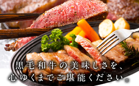 A5/A4等級 黒毛和牛 サーロイン/リブロースステーキカット 合計4kg（各250g×8P）【極味付け肉】