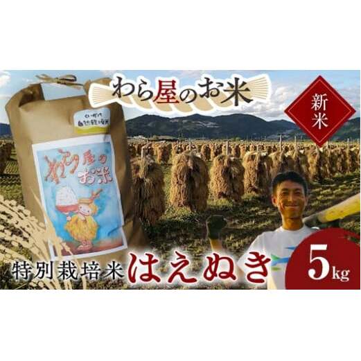 【令和7年産 新米 先行予約】 【わら屋のお米】 特別栽培米 はえぬき 5kg 《令和7年10月下旬～発送》 『おがわ藁農園』 米 白米 精米 ご飯 農家直送 山形県 南陽市 [2067-R7]