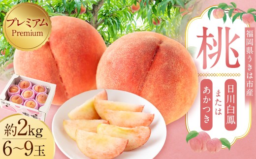 桃 （ 日川白鳳 ・ あかつき ） プレミアム 約2kg （ 6ー9玉） 【2026年7月上旬ー8月上旬発送予定】　 もも モモ フルーツ 果物 くだもの 福岡県産 国産 福岡県 うきは市