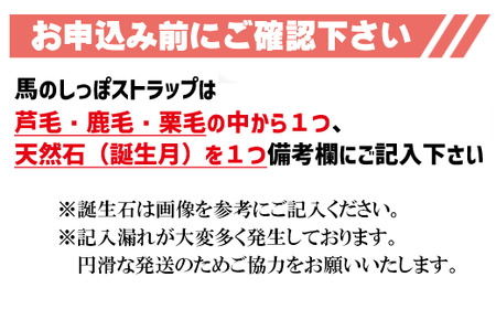 馬っこパークオリジナルセット ＜鉄製 ゴールド＞（蹄鉄・専用台・馬のしっぽストラップ）【馬っこパーク・いわて】/ ウマ グッズ アクセサリー 本物