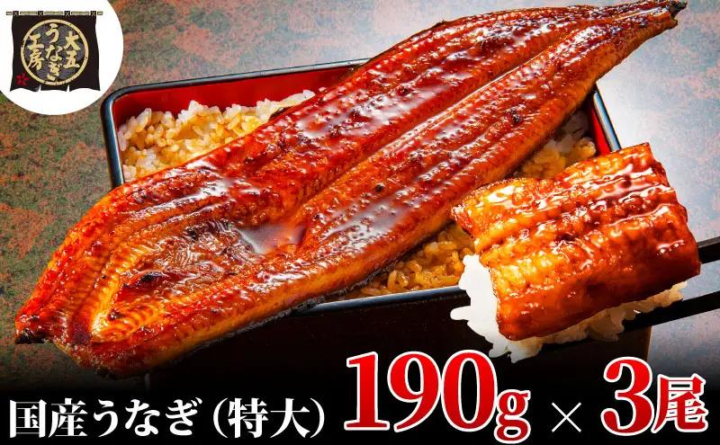 うなぎ 蒲焼 大五通商 静岡県産 うなぎ【190g×3尾(570g)】【冷凍】