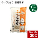 【ふるさと納税】《先行予約》【2024年10月上旬より発送開始】 【6回定期便】北海道 深川産 ふっくりんこ (普通精米) 5kg ×6回 計30kg 特A お米 米 白米 精米 ご飯 ごはん