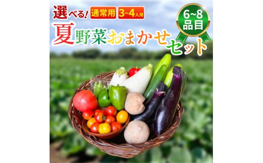 野菜 夏野菜 セット 6～8品目 3人～4人用 詰め合わせ 茄子 きゅうり ピーマン トマト ミニトマト 白茄子 オクラ 大葉 枝豆 ズッキーニ ししとう とうもろこし パプリカ じゃがいも たまねぎ にんじん サラダ カレー 野菜炒め 森商店 徳島県 吉野川市