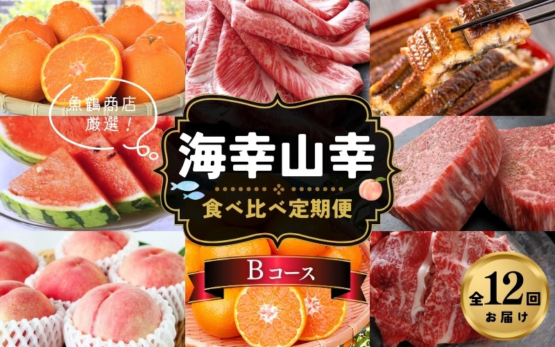 
            【魚鶴商店厳選！】人気の海幸山幸食べ比べ【定期便全12回】セットB【UT110】
          