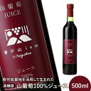 【ふるさと納税】＜耕作放棄地を活用して生まれた＞高糖度山葡萄100%ジュース 500ml【09010】