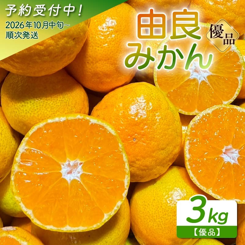 【予約受付】 由良 みかん 3kg 産地直送 小玉 中玉 柑橘 フルーツ 果物 蜜柑 時期 旬 季節限定 西浦 おいしい 優品 丸榮 国産 静岡 沼津