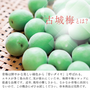 古城梅 約5kg (＋保証100g)【秀品】 L～Mサイズ カキエモン農園【BX-kkem022】
