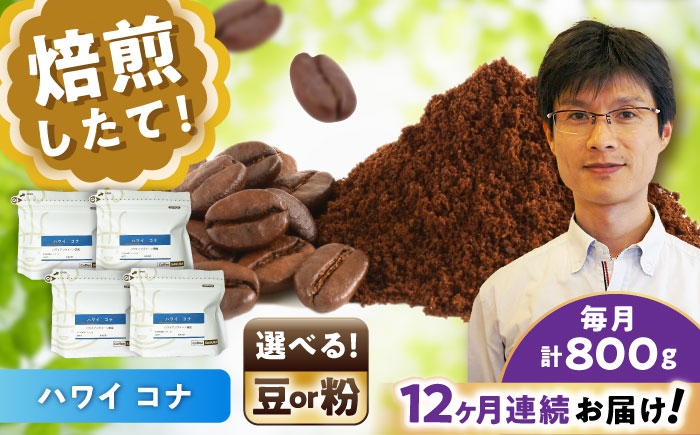 
            【全12回定期便】【選べる豆 or 粉】ハワイ・コナ コーヒー 200g×4個 / 珈琲 コーヒー / 瀬戸市 / Ｃｏｆｆｅｅ　ＳＡＫＵＲＡ [BBAB077]
          
