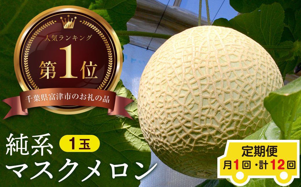 
            【定期便12ヶ月】純系マスクメロン１玉【最高級】：2025年発送分
          