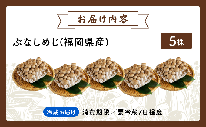 もぎたて新鮮！ぶなしめじ5株セット AT21