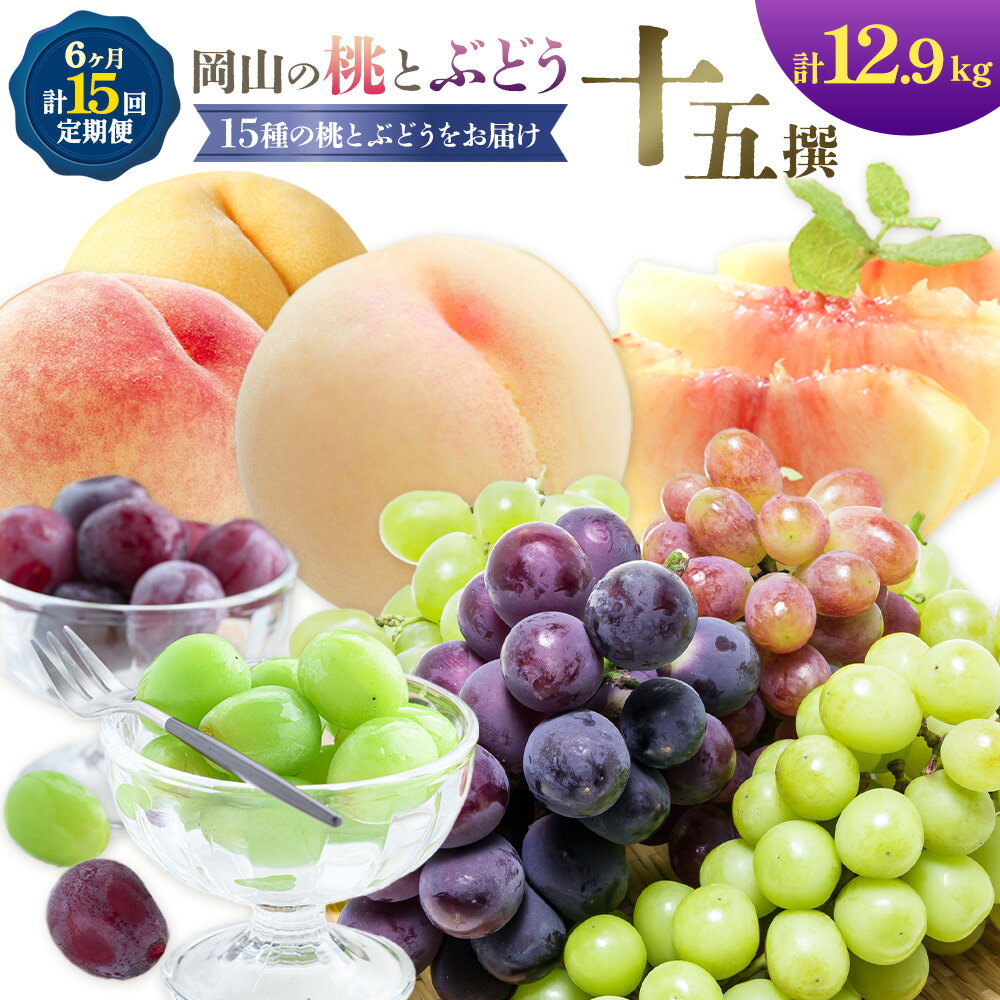【ふるさと納税】桃 ぶどう 6ヶ月 計15回 定期便 岡山 の 桃 と ぶどう 十5撰 10種 計12.9kg 晴れの国おかやま館(漂流岡山)《7月中旬-12月中旬頃出荷》岡山県 笠岡市 もも 桃 ぶどう マスカット 果物 フルーツ デザート 送料無料 【配送不可地域あり】（離島）