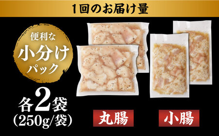 【全12回定期便】【塩だれ味】 九州産和牛 ホルモン 2種 計1kg（ 小腸 250g×2袋・ 丸腸 250g×2袋） 長与町/岩永ホルモン[EAX157] / ホルモン 小腸 ホルモン 丸腸 ホルモ