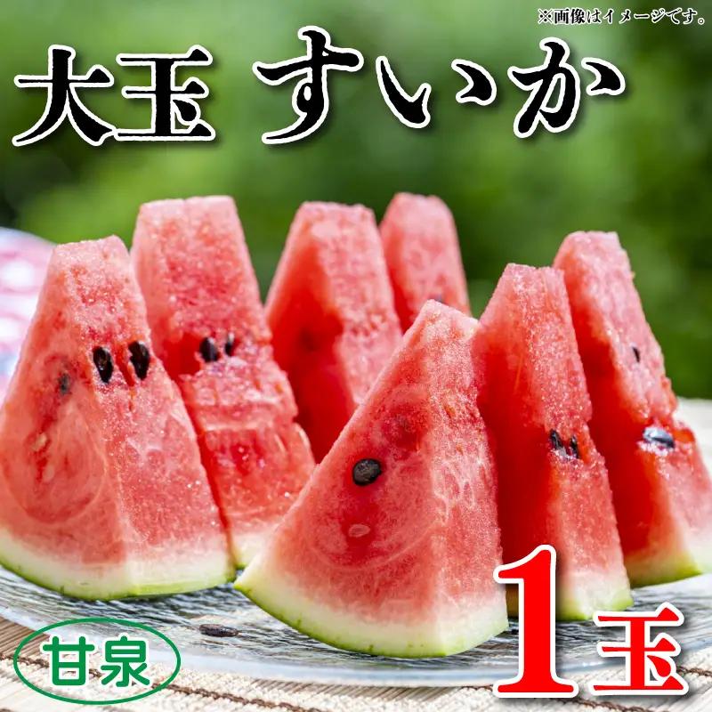 すいか 大玉 1玉 約 5～7kg すいか