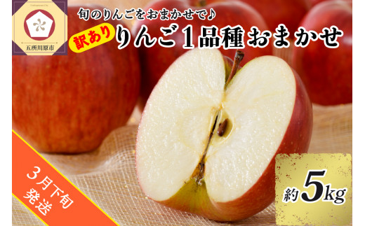 【2025年3月下旬発送】 【訳あり】 旬の美味しい りんご 約5kg 青森産 【おまかせ1品種】