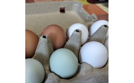 みんなのたまご　赤玉、白玉、青玉、三色の卵の詰め合わせ【1670732】