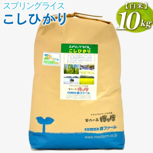 【新米】スプリングライス こしひかり (白米) 10kg | 米 こめ コメ 10キロ 精米 白米 こしひかり コシヒカリ 古河市産 茨城県産 取り寄せ お取り寄せ ギフト 贈答 贈り物 プレゼント お中元 お歳暮　 茨城県 古河市 直送 農家直送 産地直送 送料無料 _BI26