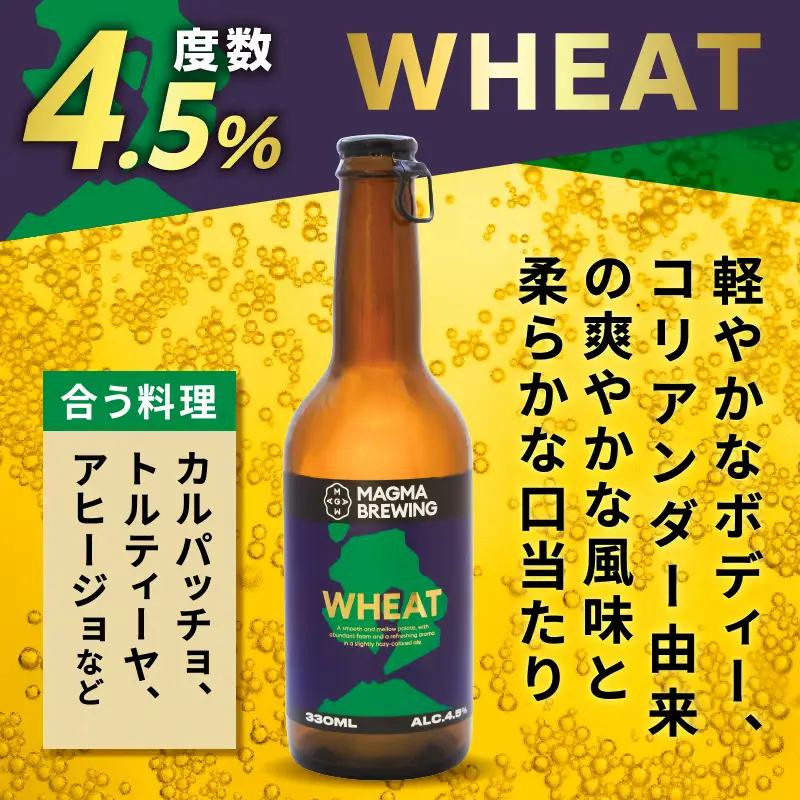 クラフト ビール 3本 飲み比べ セット K267-001 酒