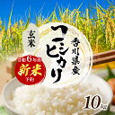 【ふるさと納税】令和6年産　新米「コシヒカリ」10kg（玄米）　【お米・玄米・お米・お米・コシヒカリ】　お届け：2024年9月中旬～9月下旬