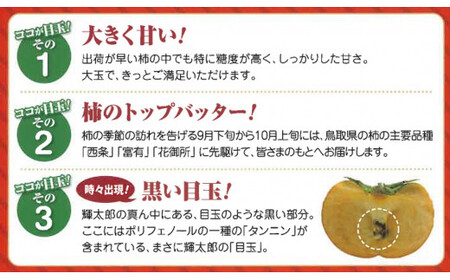 【進物用】輝太郎柿（きたろうかき）3kg 【10月上旬ごろから順次発送】