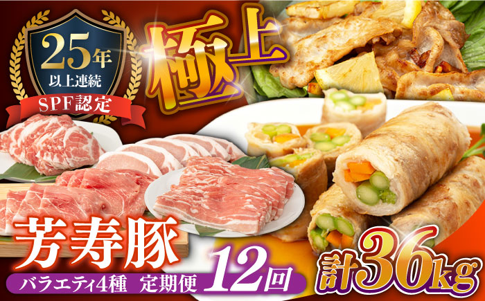 【12回定期便】SPF豚 やっちゃおいしか芳寿豚バラエティセット 計3000g / 南島原市 / 芳寿牧場 [SEI022]