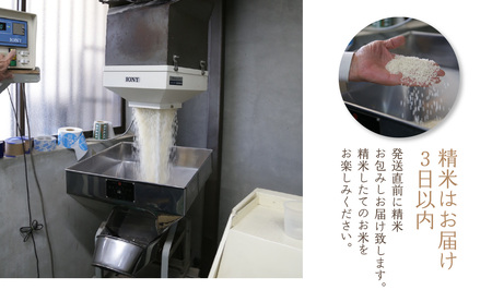 京都府木津川市　ひのひかり お米　20kg　毎日の健康に（特別栽培米）053-14