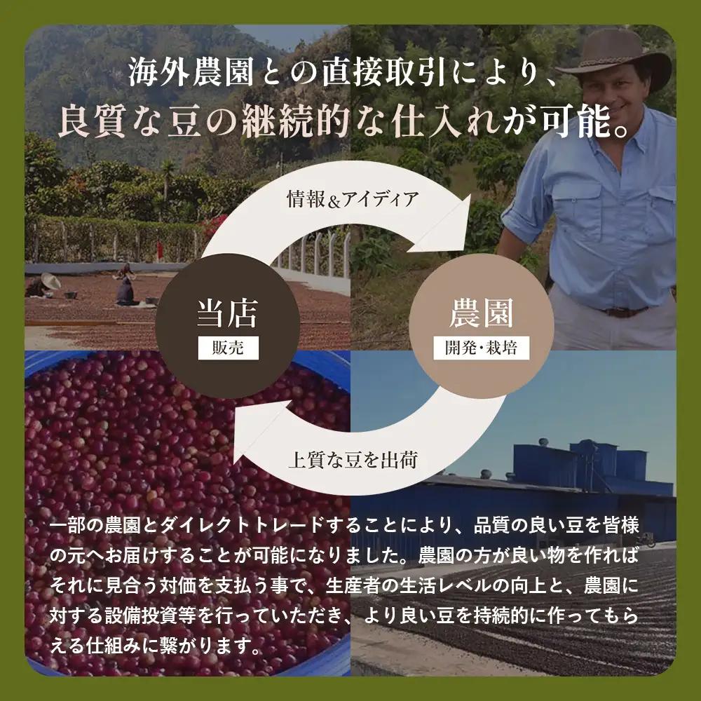 コーヒー豆　200g×２種類　浅煎りセレクト ／ 珈琲 浅煎りコーヒー豆 山口県 No.144