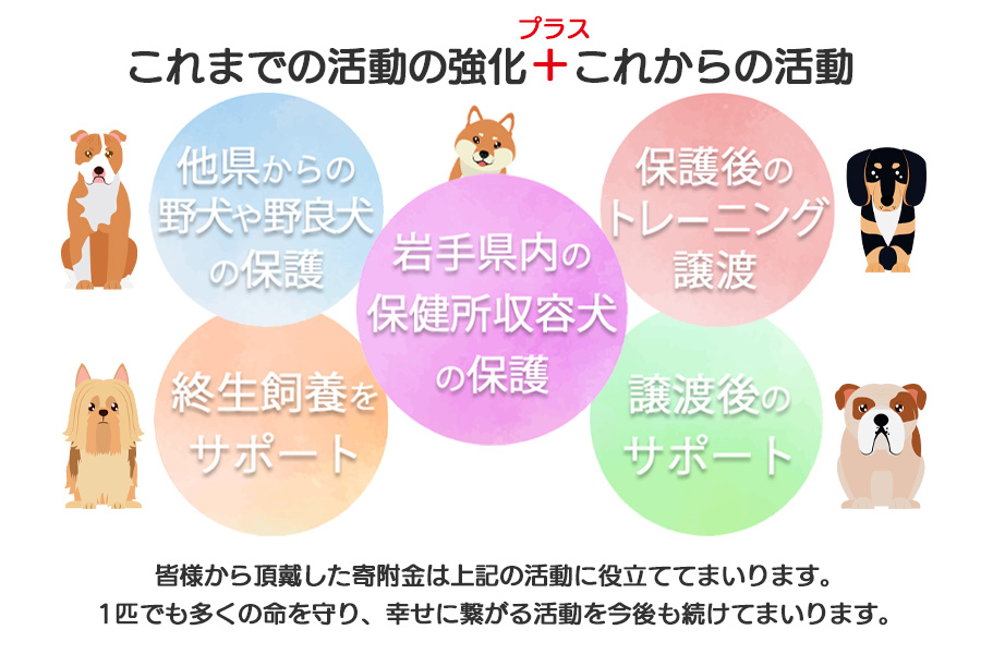 【お礼品なし】殺処分ゼロとその先を目指して！　動物保護シェルターへの応援寄附　300,000円_イメージ3