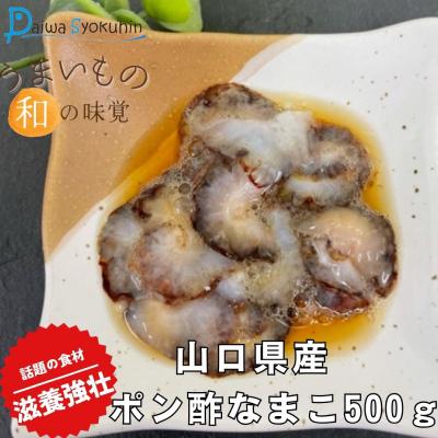 ふるさと納税 下関市 山口県産ポン酢なまこ 500g 冷凍 JD001-x
