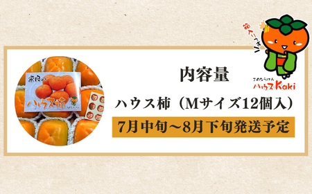 ハウス柿（ Ｍサイズ 12個入 ）| フルーツ 果物 くだもの 柿 刀根柿 ハウス 奈良県 五條市 JA
