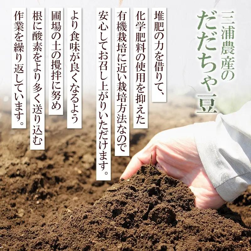 【令和8年産先行予約】 山形県鶴岡産 だだちゃ豆　約1.5kg（250g×6袋） 枝豆　三浦農産