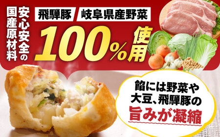 【6回定期便】 岐阜餃子32個入り（パイチャオズ） ぎょうざ 冷凍餃子 お取り寄せ 岐阜市 / MABUCHIKOGYO[ANEY007]