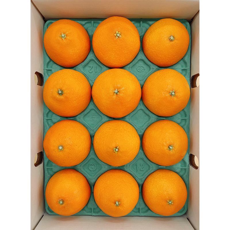 紅まどんな【JAえひめ中央】 青秀　L～2Lサイズ みかん ミカン 蜜柑 果物 くだもの フルーツ 高級 贈答 ギフト 贈り物 柑橘 柑橘類 かんきつ 愛媛果試第28号 愛果28号 常温 国産 愛媛 