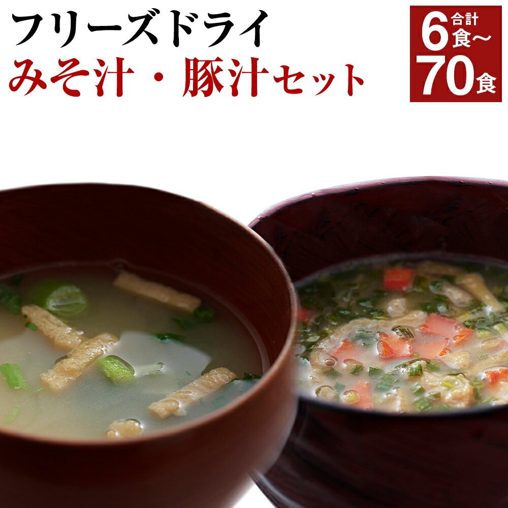【ふるさと納税】フリーズドライみそ汁・豚汁セット 選べるセット お試し/Aセット/Bセット/Cセット/Dセット 6食～70食 2種類 セット インスタント パック 味噌汁 豚汁 さがら生みそ 送料無料