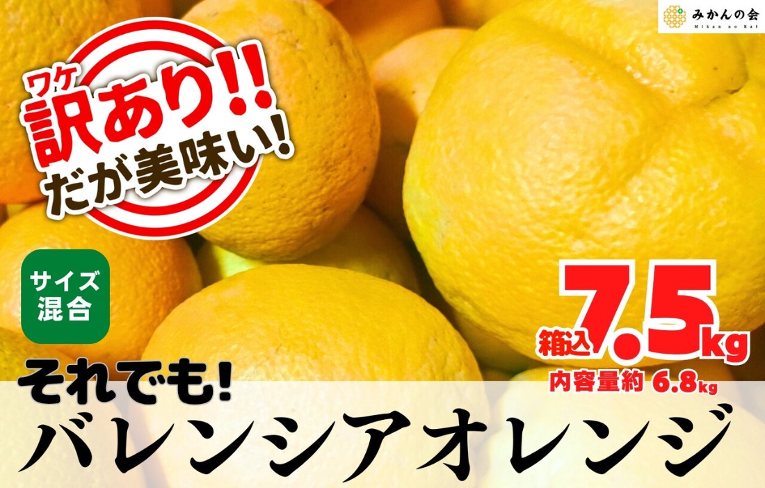 訳あり バレンシアオレンジ  国産 箱込 7.5kg (内容量 6.8kg ) サイズミックス 和歌山県産 産地直送 みかんの会 	AX412