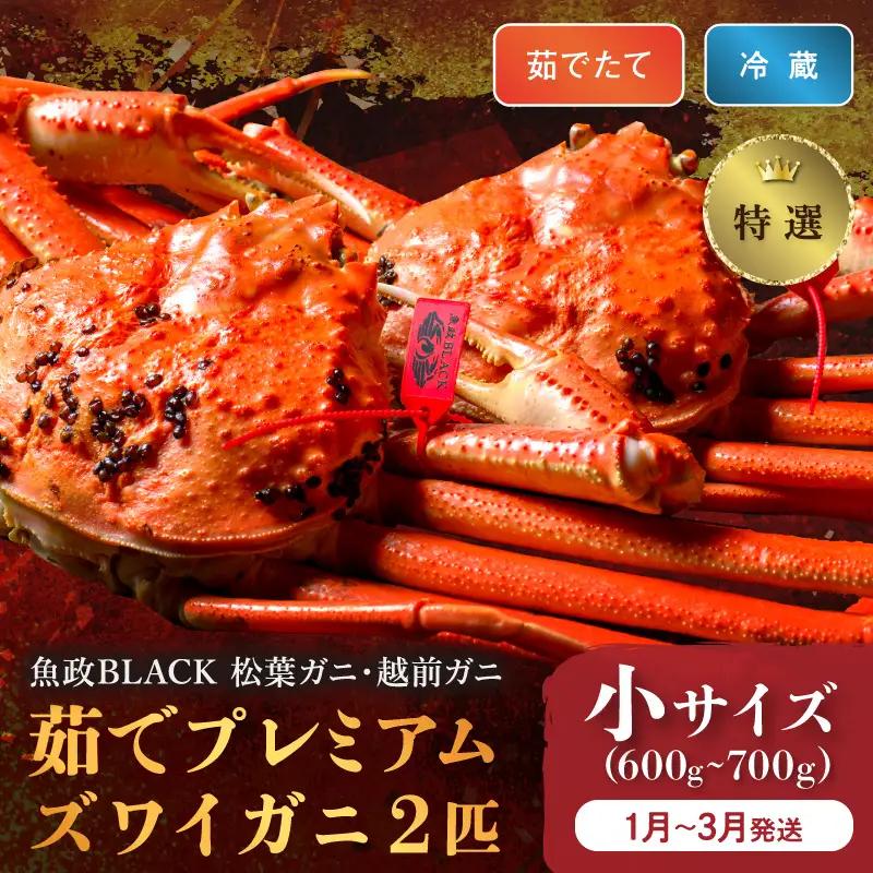 【蟹の匠 魚政】茹で　プレミアムズワイガニ 魚政BLACK（松葉ガニ・越前ガニ）特撰 小サイズ（600～700g） 2匹セット(1月～3月発送）蟹