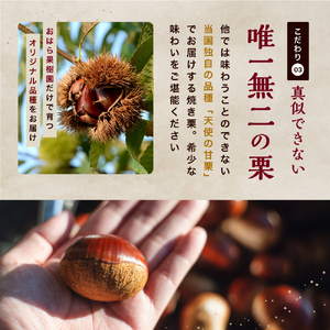 【先行予約】天使の甘栗 和栗焼き栗300g | 栗 甘栗 国産和栗 自然の甘み 無添加おやつ 焼き栗300g やさしい甘さ 大分県 中津市 