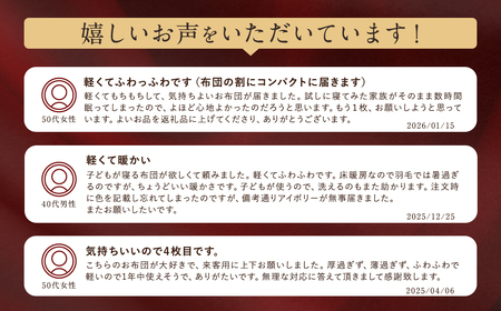 布団 防ダニ・抗菌掛けふとん シングル 布団