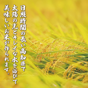 【12ヶ月定期便】 新米 令和７年度 白米 ミルキークイーン 定期便 ５kg 【出荷開始】