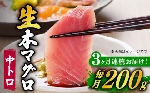 【全3回定期便】【ながさき水産業大賞受賞の新鮮なマグロを冷蔵でお届け！！】 五島列島産 養殖 生本かみまぐろ 中トロ 200g 魚介類 鮮魚 まぐろ 【カミティバリュー】 [RBP026]