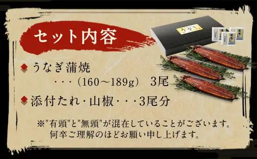 九州産 うなぎ 蒲焼 上 3尾 (1尾あたり160～189g)【2026年9月発送】