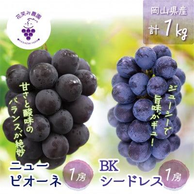 岡山　花笑み農園の『ニューピオーネ＆BKシードレス』1kg(2房)PB-1【配送不可地域：離島・北海道・沖縄県】
