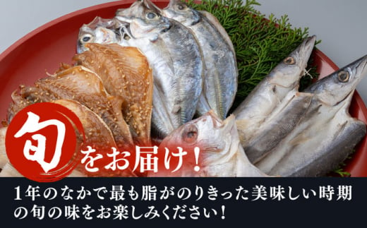 【全6回定期便】対馬 一汐干し お魚 セット 5種10枚 詰め合わせ  《 対馬市 》【 うえはら株式会社 】新鮮 アジ 穴子 カマス 連子鯛 干物 海産物 朝食 冷凍 [WAI034]